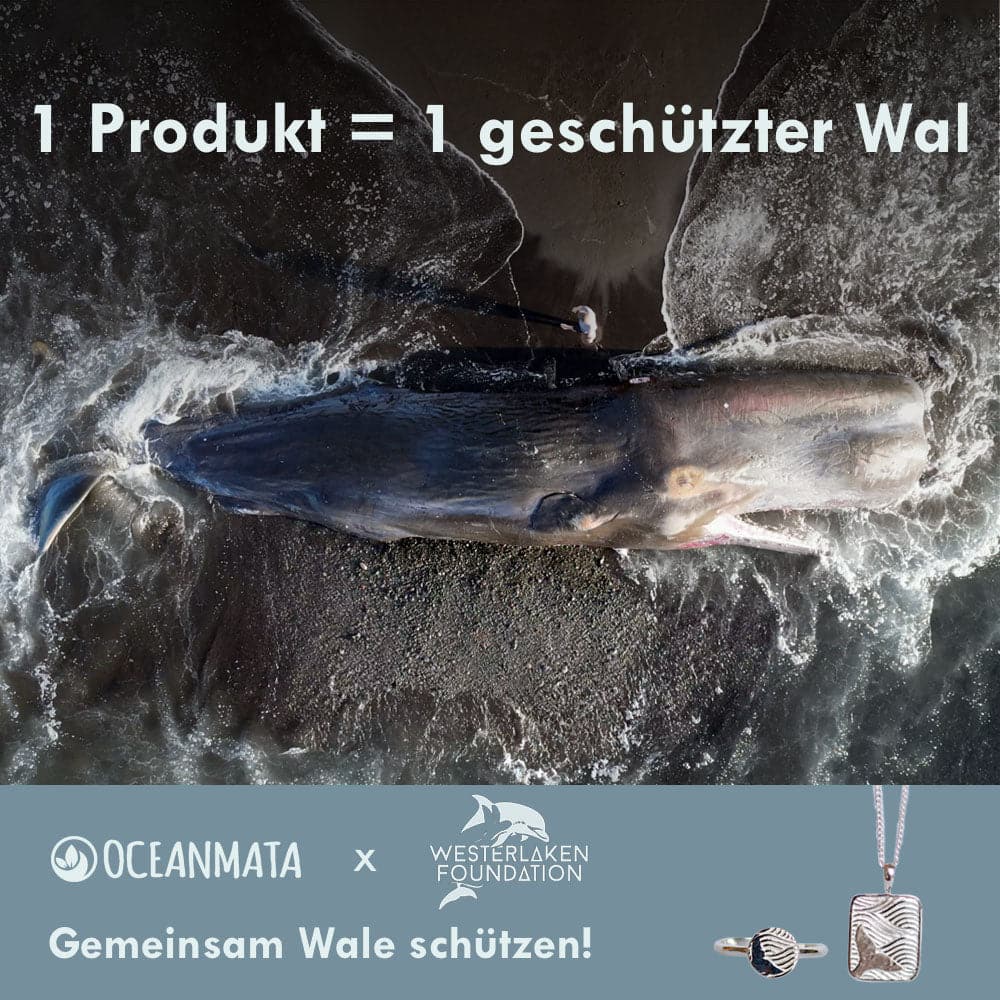 Ring "WALVIS"