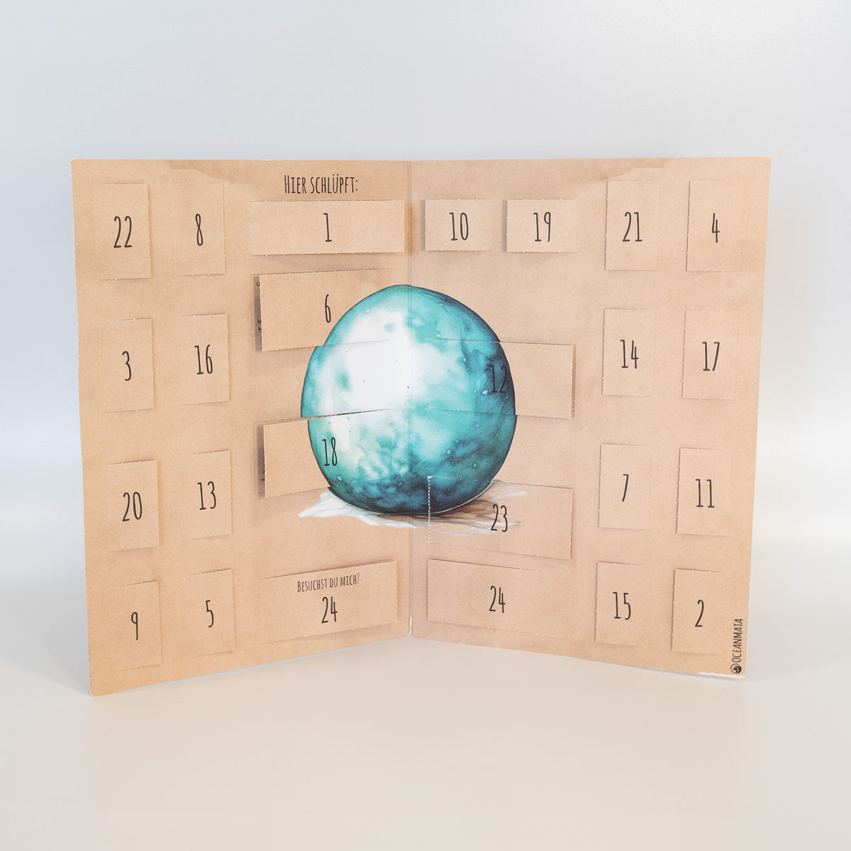 Adventskalender 2025 Schildpadsponsoring