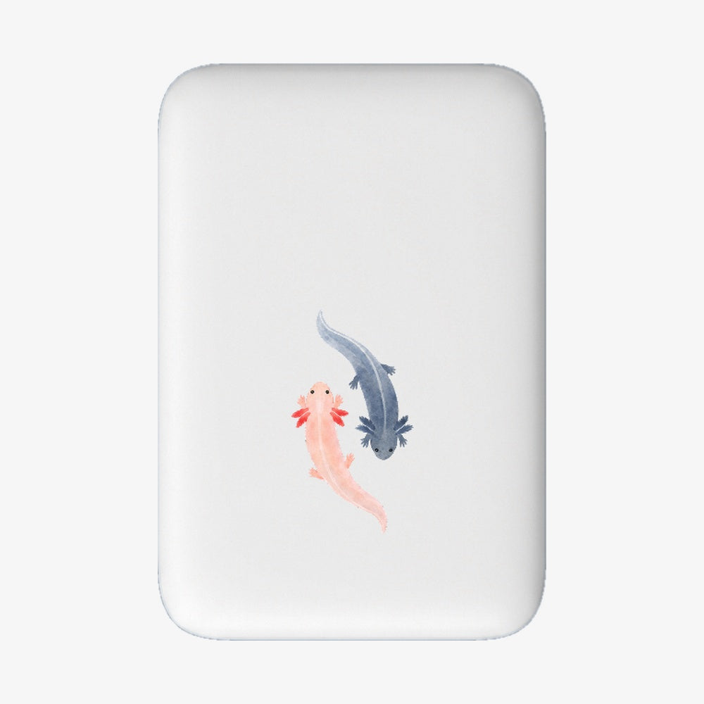 Powerbank MagSafe Axl