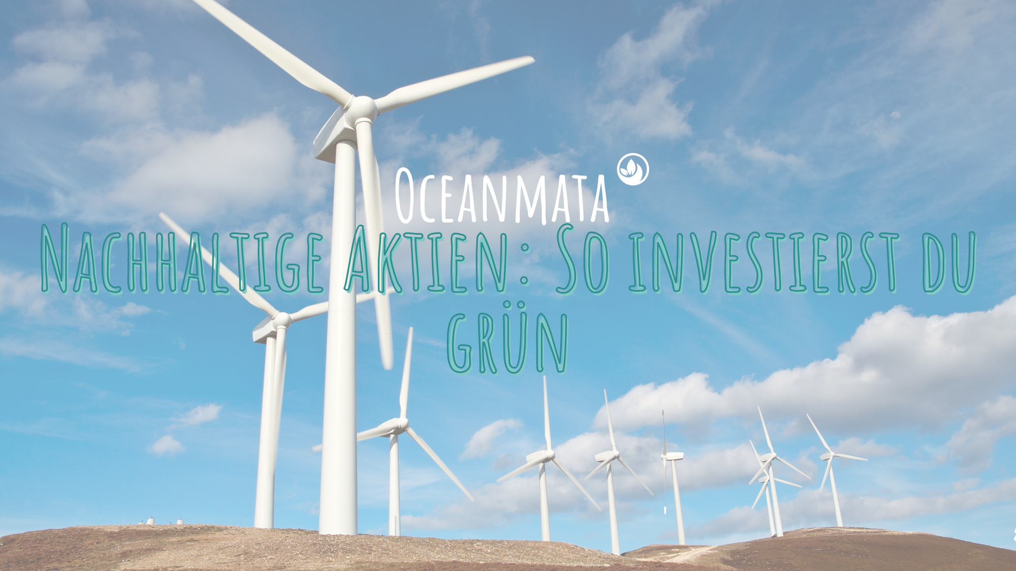 Nachhaltige Aktien: So investierst du grün