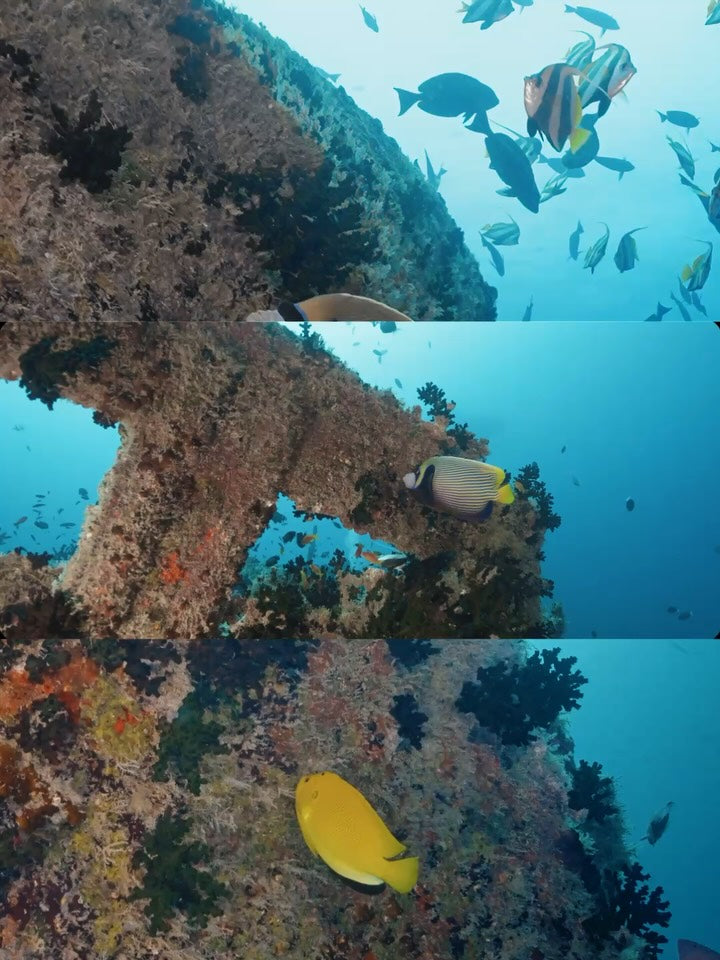 Was passiert eigentlich mit dem Plastik, das wir aus dem Mee