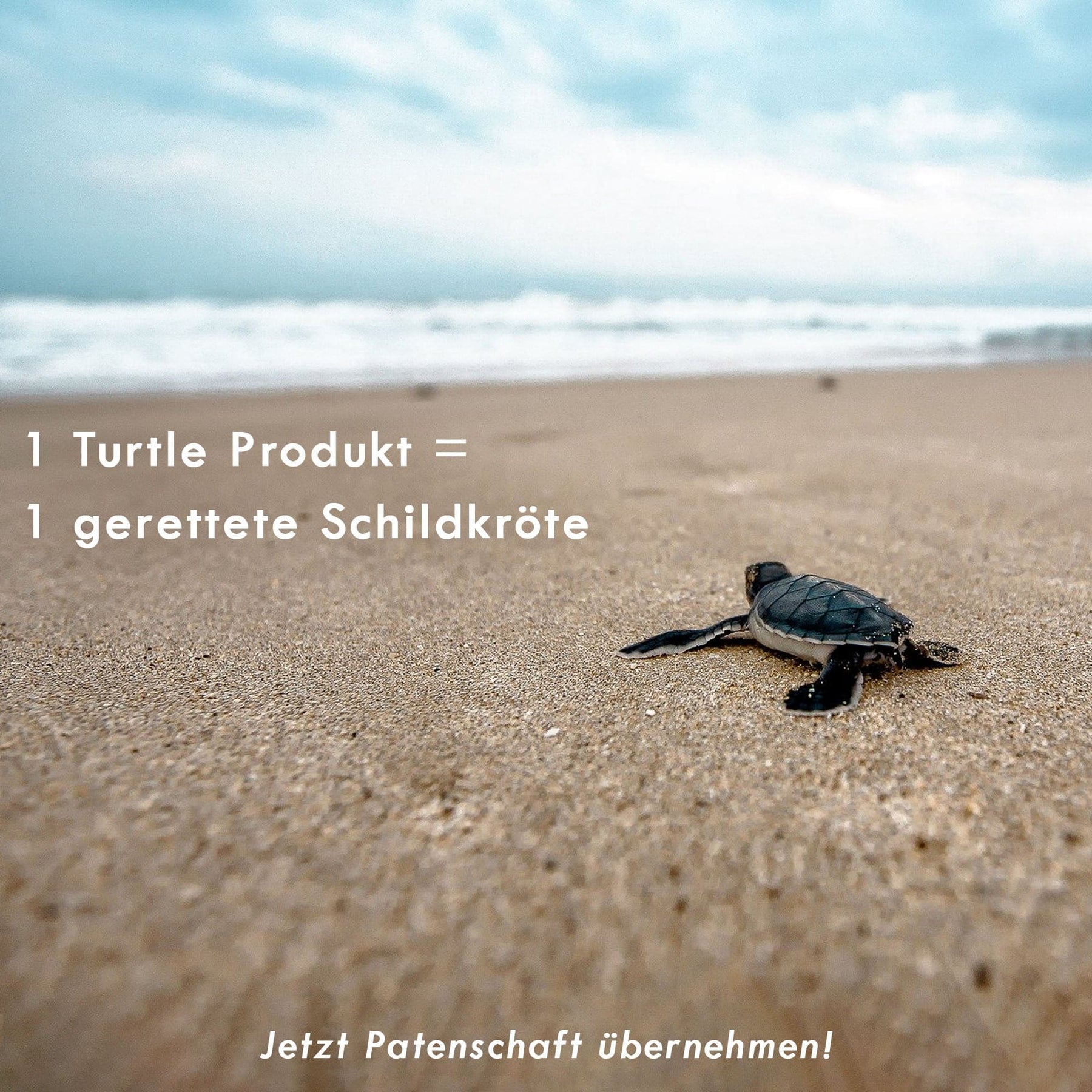 iPhone 14 Hülle - beige - "GREEN TURTLE" - nachhaltig