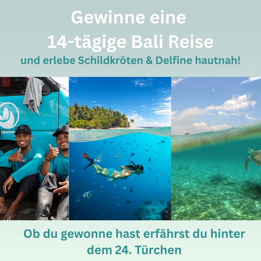 Sieraden Adventskalender - "Turtle's Nest" - Roestvrij staal/Messing