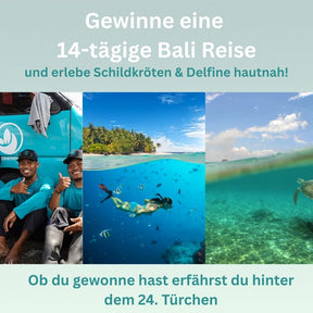Sieraden Adventskalender - "Turtle's Nest" - Roestvrij staal/Messing