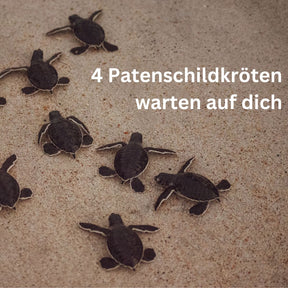 Sieraden Adventskalender - "Turtle's Nest" - Roestvrij staal/Messing