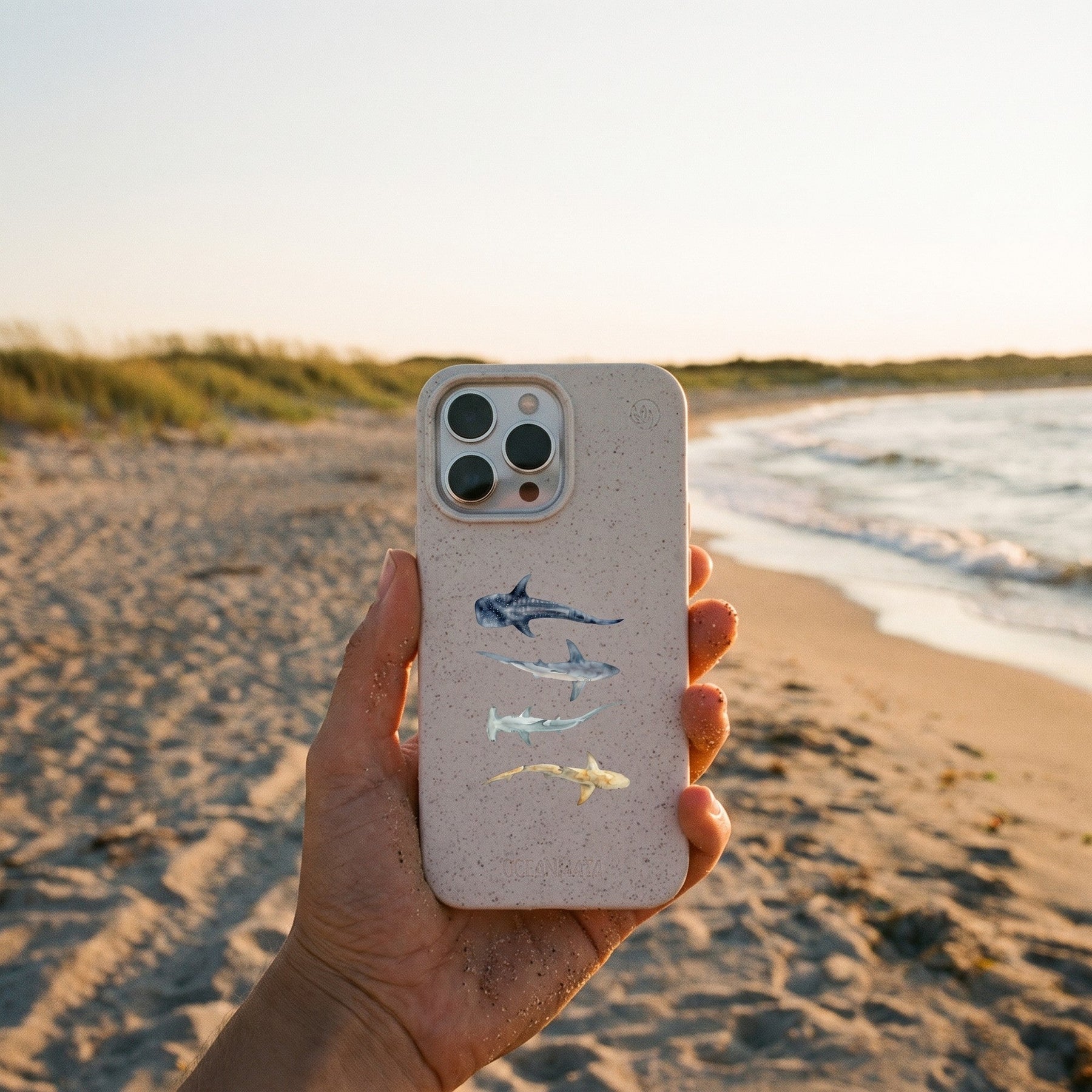Biologisch abbaubare Handyhülle iPhone 17 Sharkproject — kompostierbar — in der Hand