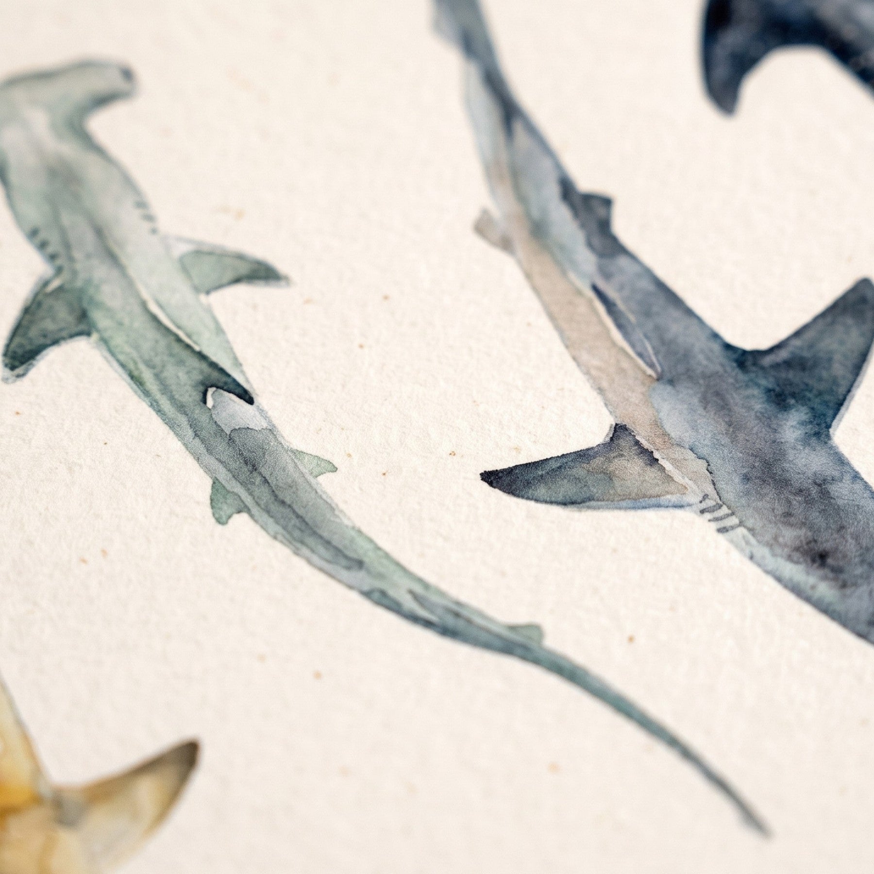 Biologisch abbaubare Handyhülle iPhone 15 Sharkproject — kompostierbar — Detailaufnahme Druck